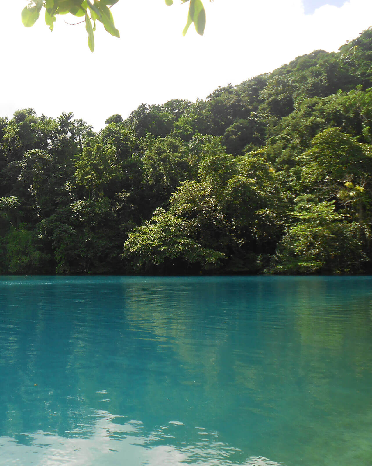 nurkowanie na jamajce